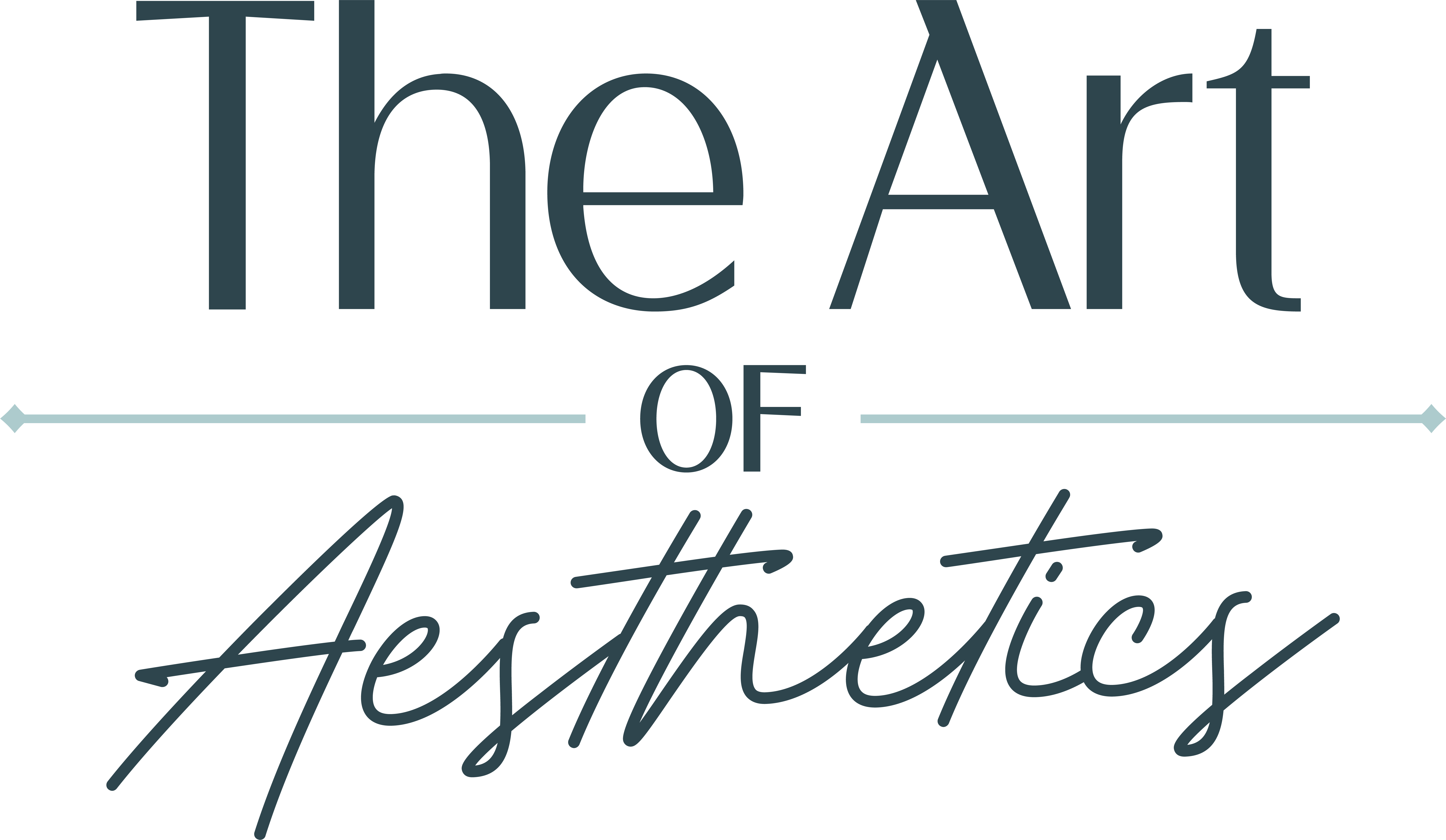 The Art of Aesthetics